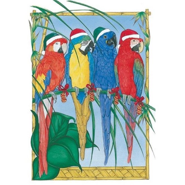 Pipsqueak Productions Pipsqueak Productions C871 Macaw Holiday Bird Christmas Boxed Cards - Pack of 10 C871